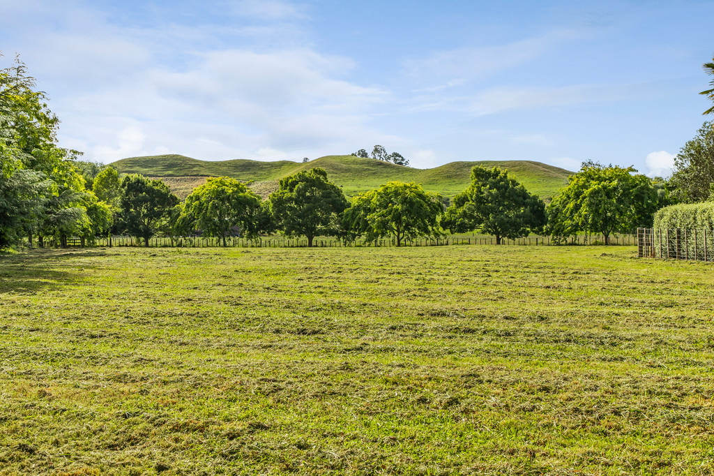 Build New Among Mature Trees