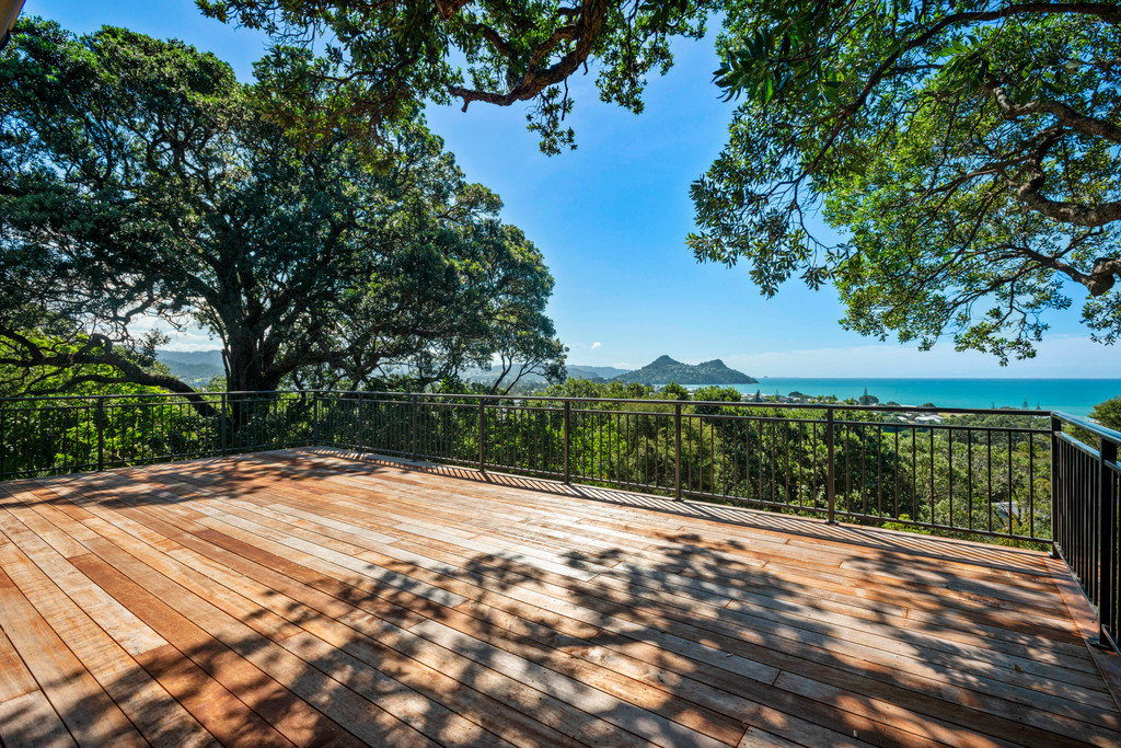 Where Native Bush Meets the Sea