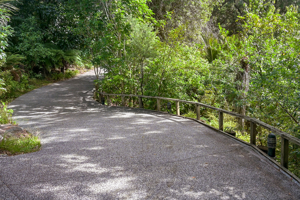 Where Native Bush Meets the Sea
