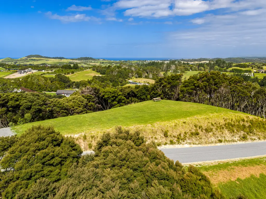Lot 2 Drone-1