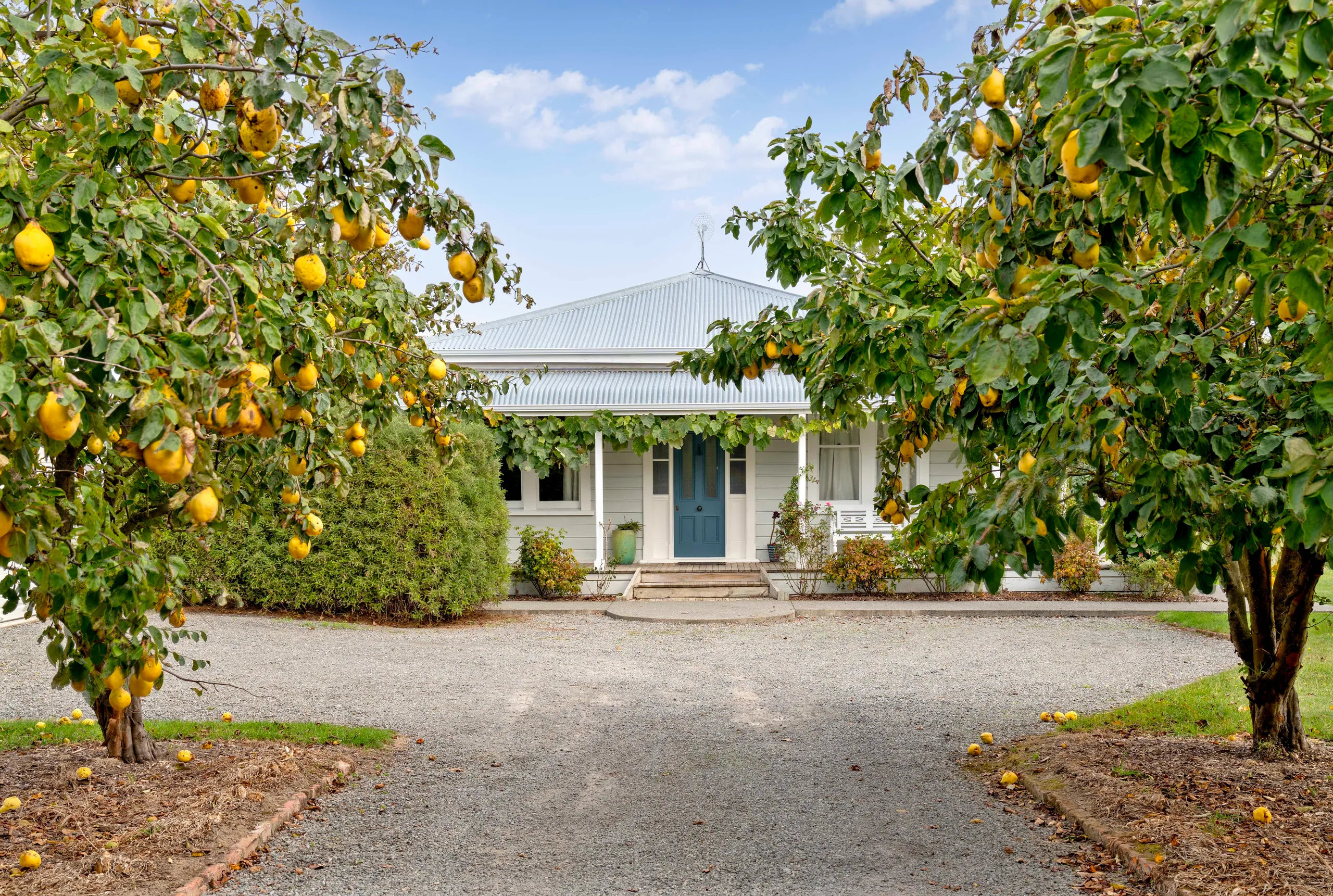 14 Campbell Drive, Martinborough, South Wairarapa
