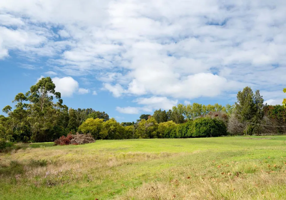 Prime Future Urban Holding