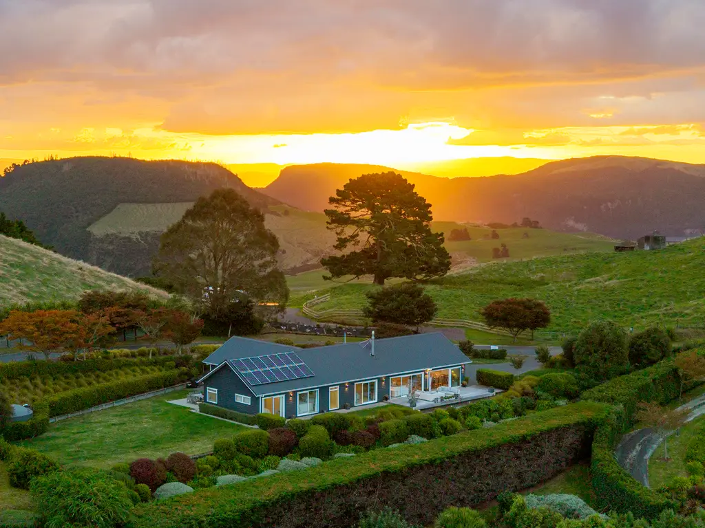 (TAUP2653) Matt (27)