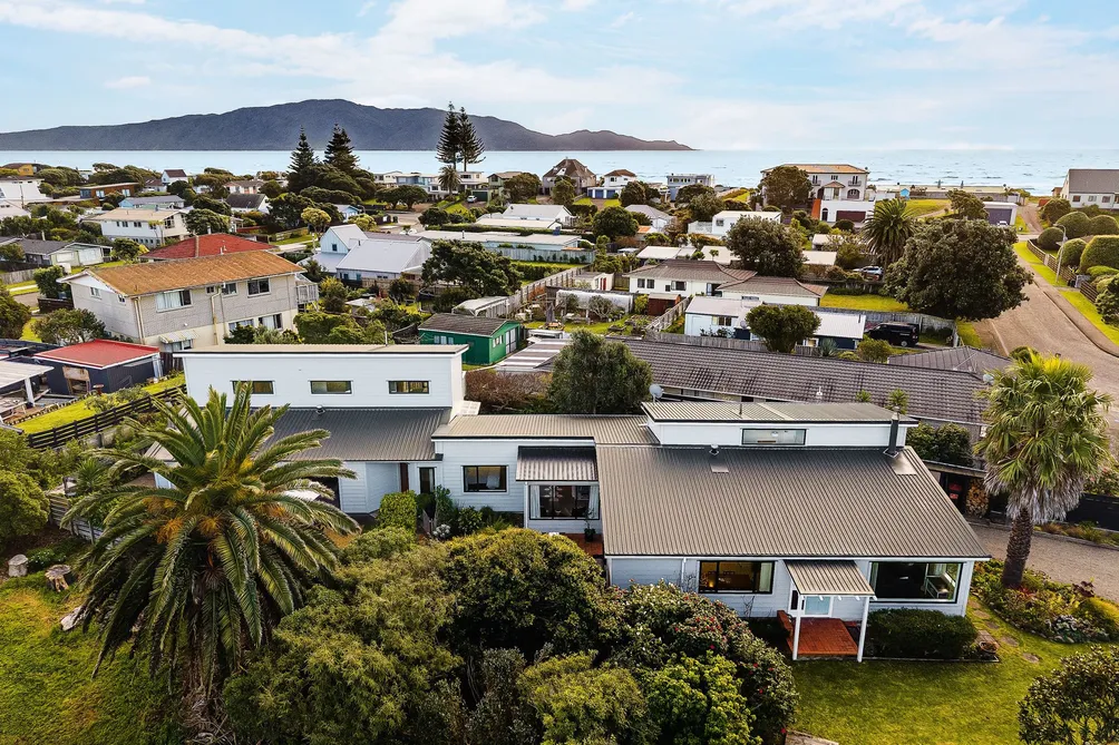 Extended Family Living or Potential to Earn