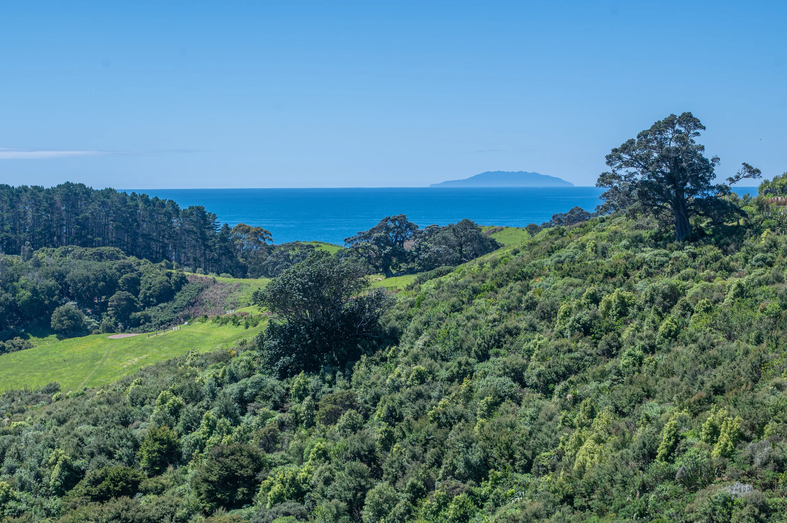 Lot 12/30 Hill Road, Wawata Estate, Palm Beach, Waiheke Island