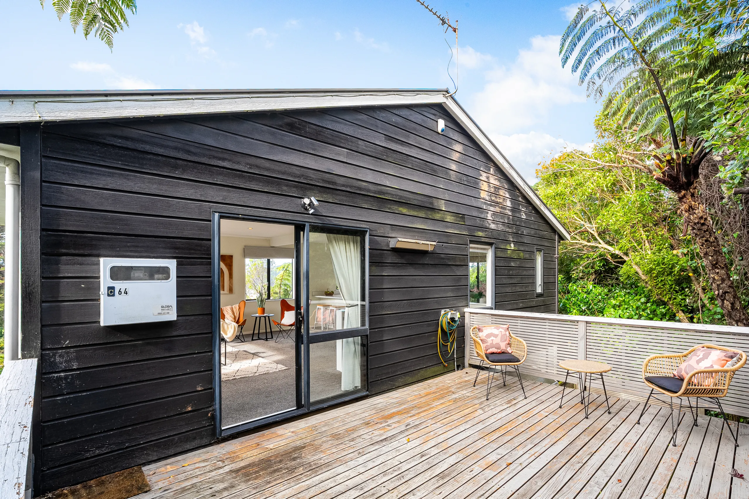 64C Balfour Street, Mornington, Wellington City