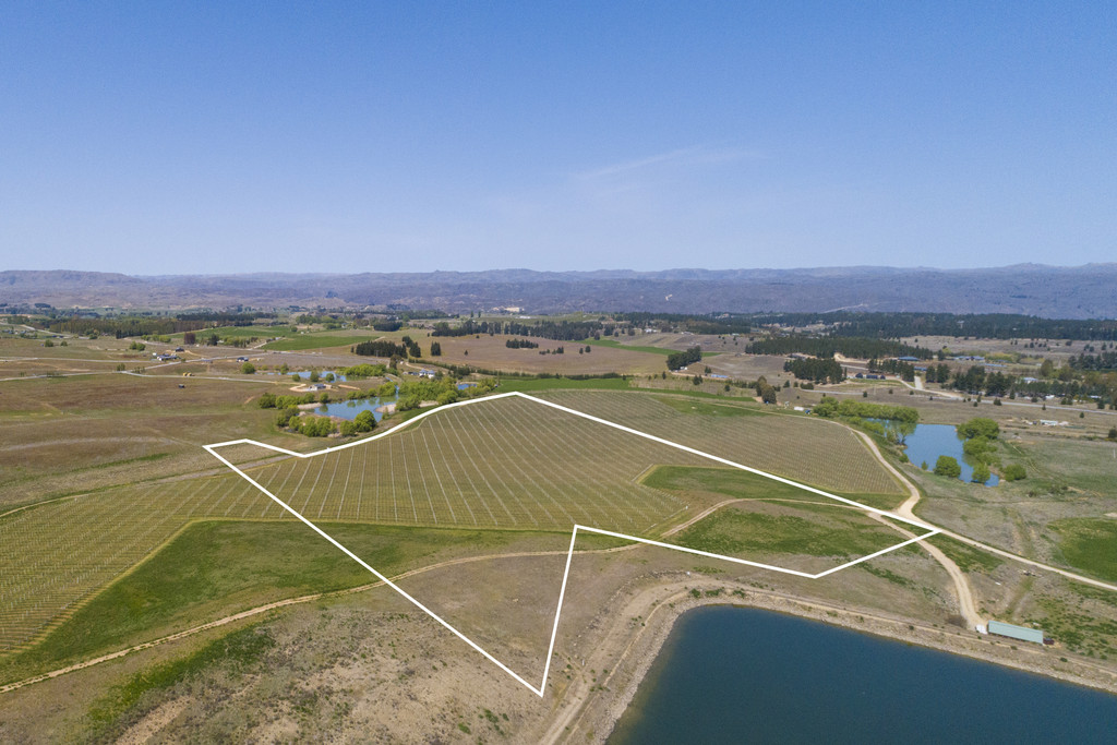 A Lifestyle Dream Among the Vines