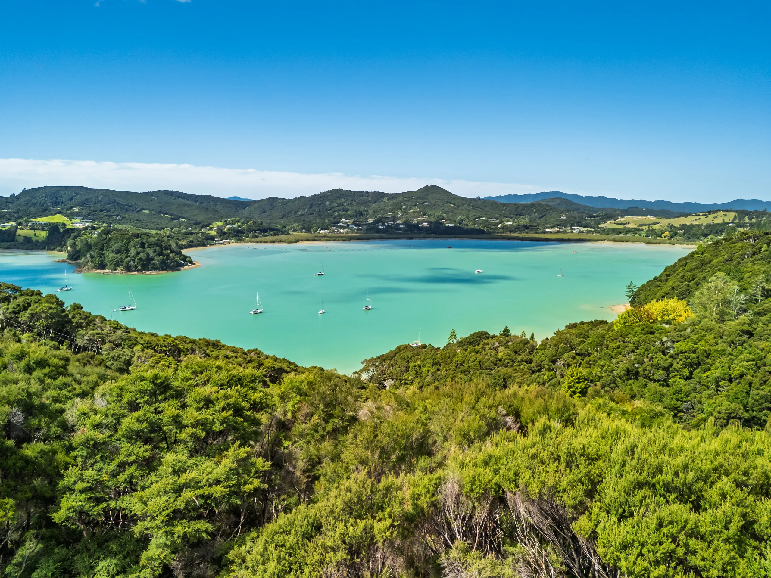 Kanuka Grove, Russell, Bay of Islands