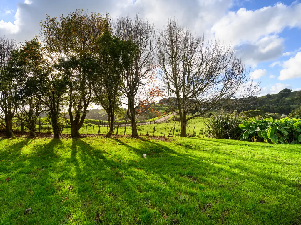 245 Hayward Road-12
