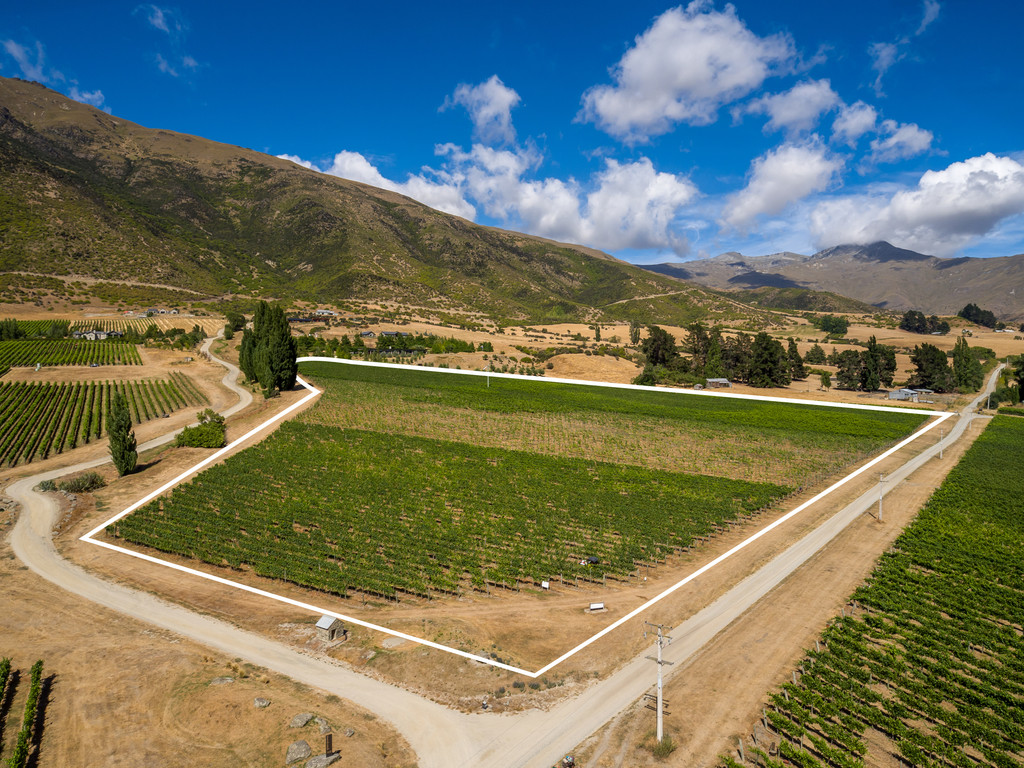 Award Winning Vineyard