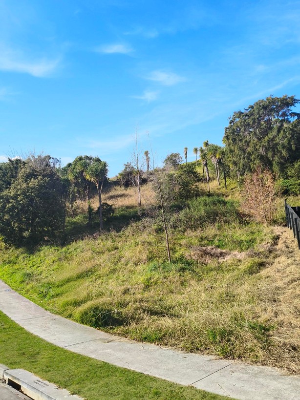 Elevated and Prime Location for Your Dream Home