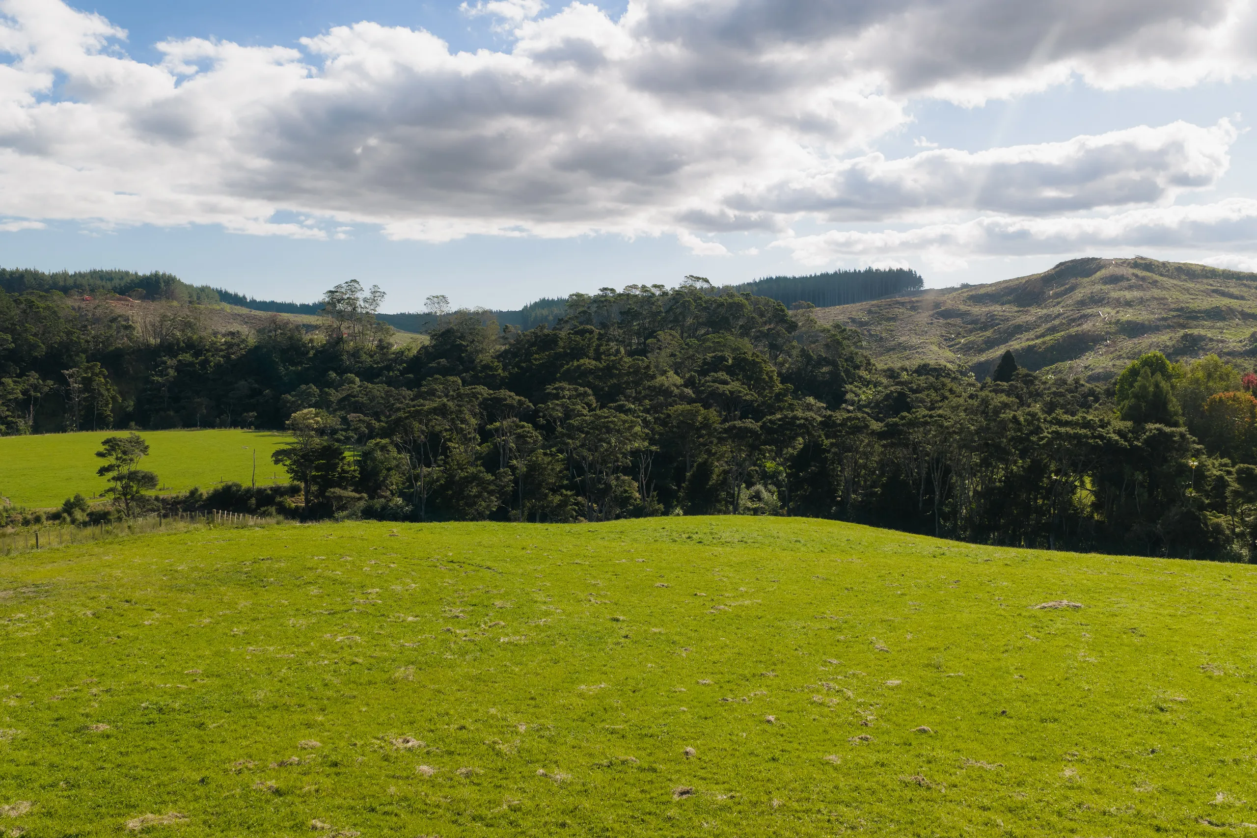 14 Valmoore Way, Coatesville, Rodney