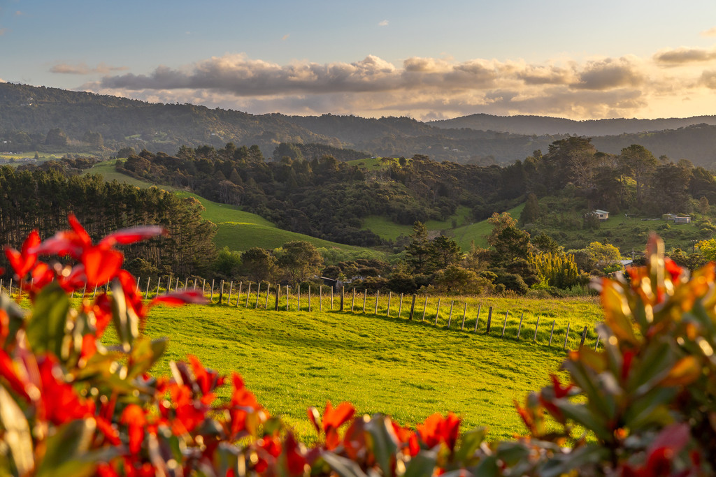 A Country Sanctuary, Moments From the City