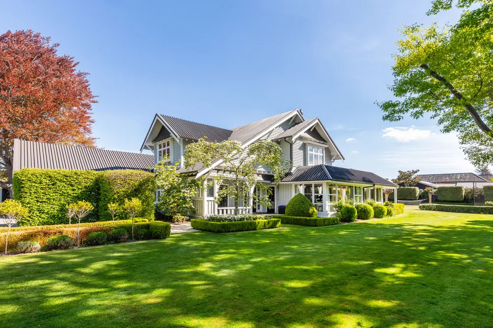 Picture Perfect on Puriri