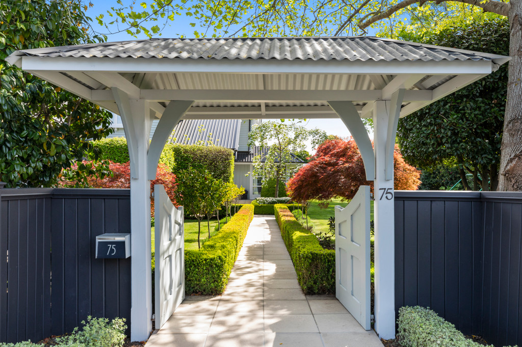 Picture Perfect on Puriri