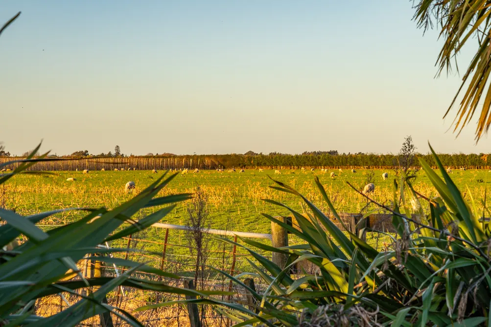 Premium land. Rural outlook. Room to breathe.