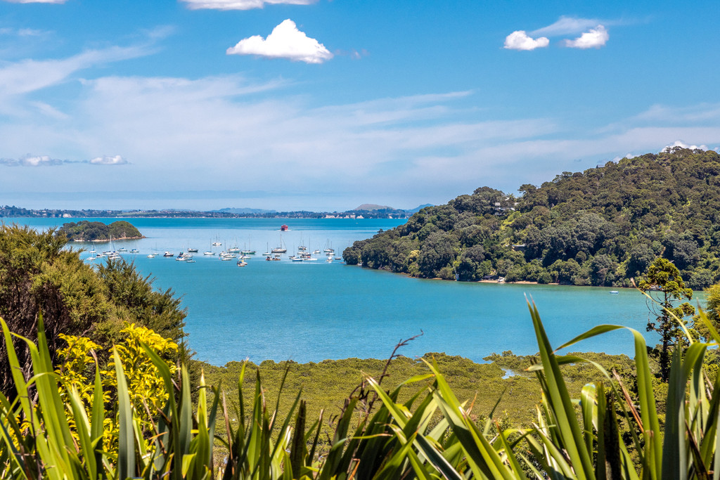 Centre House - At the Heart of Waiheke